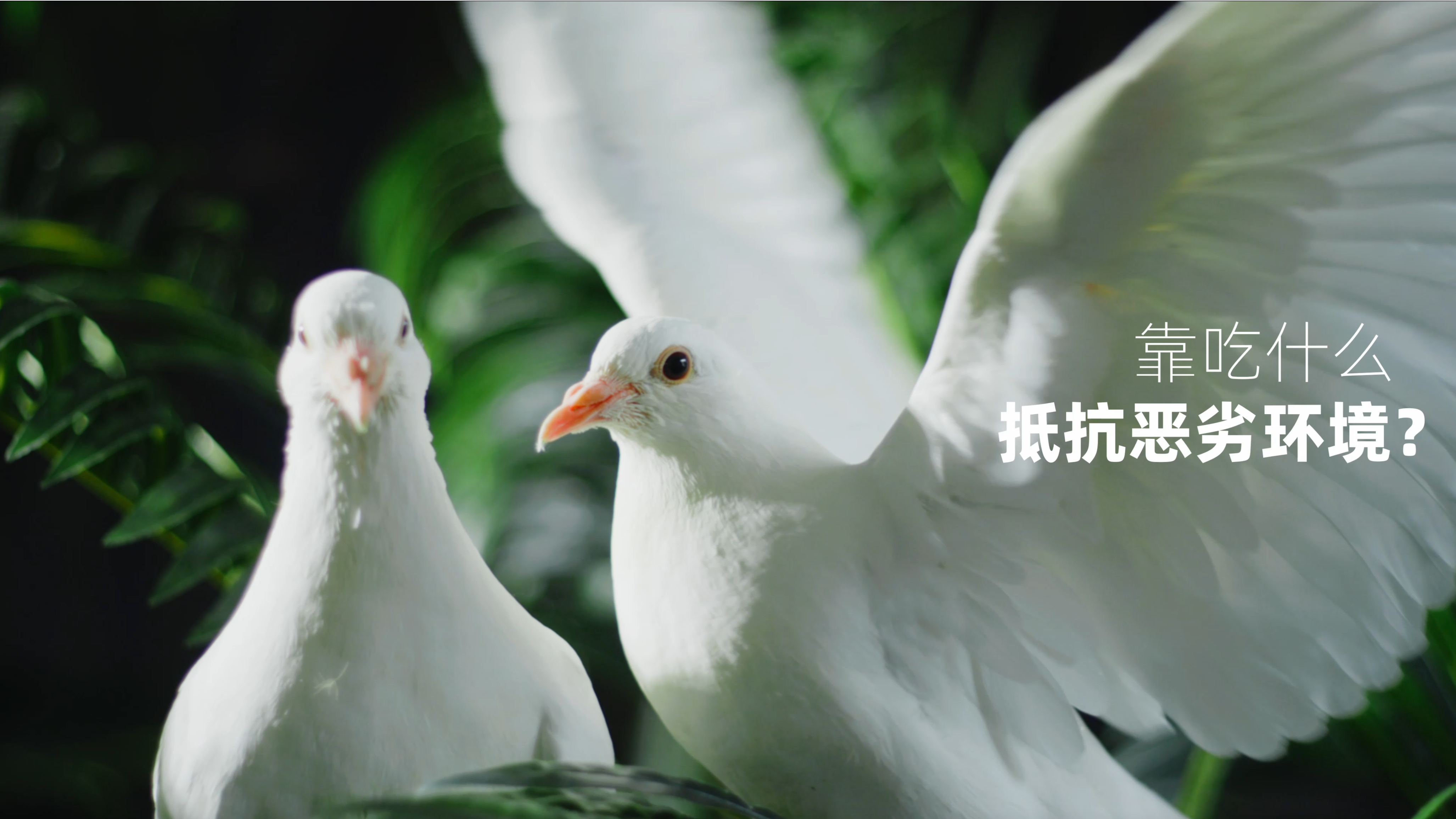 一点即拍